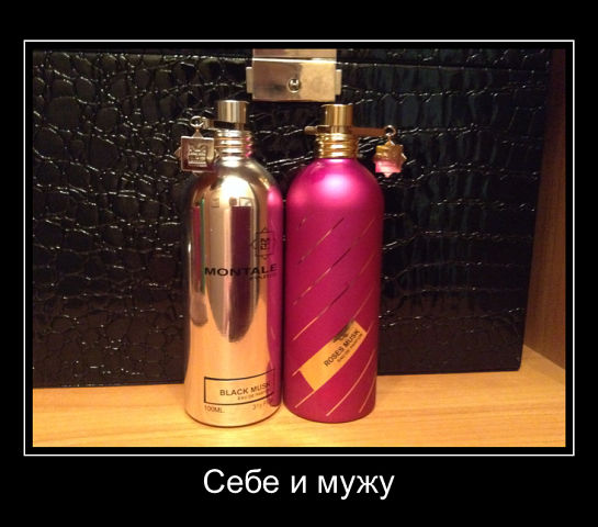 ПОМОГИТЕ НАЙТИ