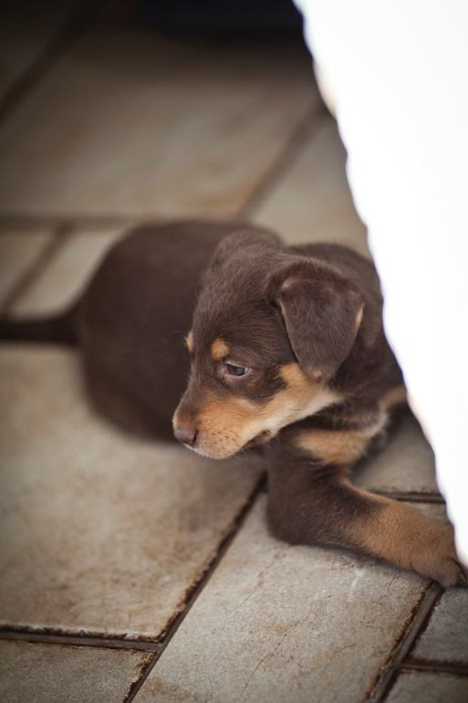 Супер-ребёнок