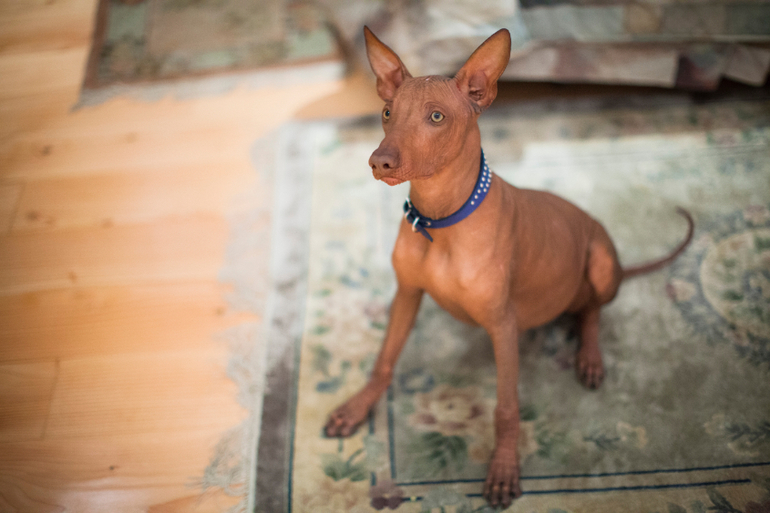 Мой малыш с большущими глазами))