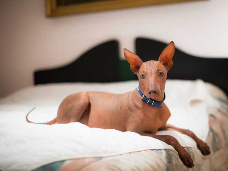 Мой малыш с большущими глазами))