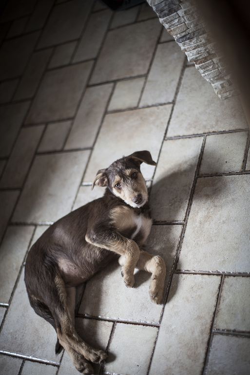 Бьюти Браун ищет родителей