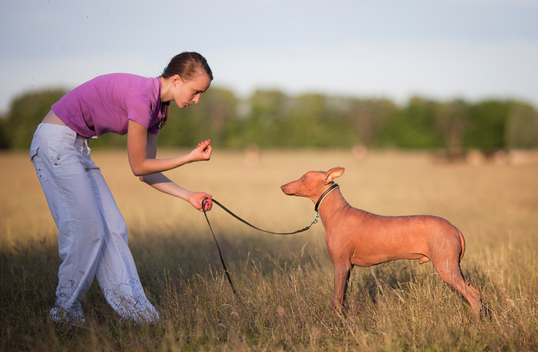 Тренировки в поле))