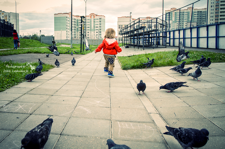 Конец лета, велосипед и голуби ...