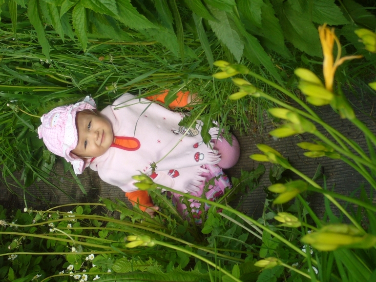 И снова дачка)) Фоточки