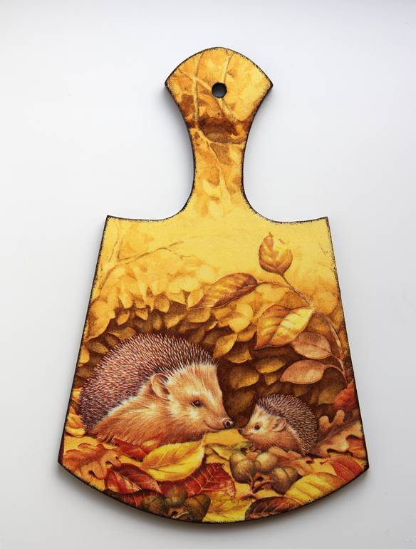 Досочки "Ёжики"