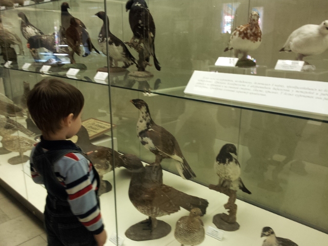 Музей Дарвина - мы там были - смотрите фото)))