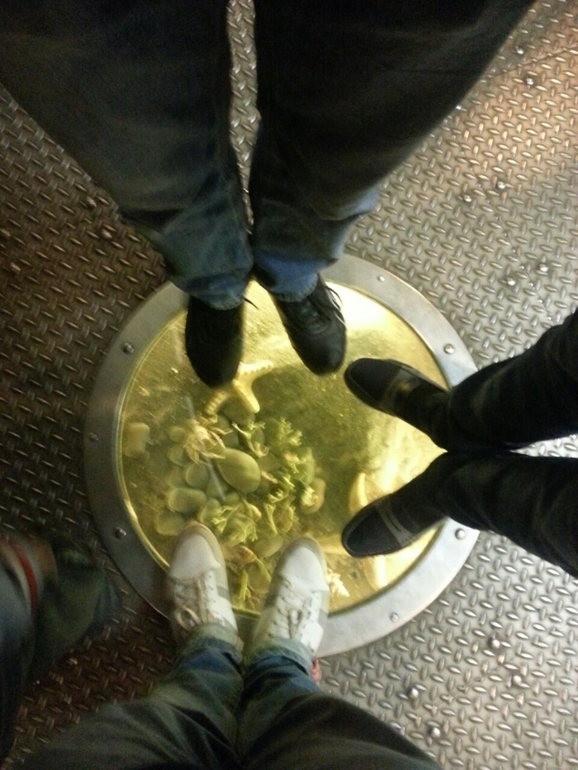 Музей Дарвина - мы там были - смотрите фото)))