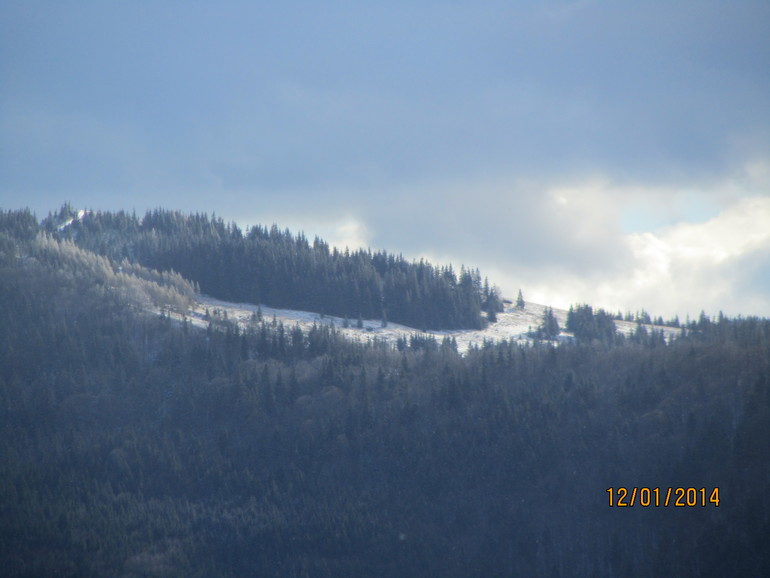 Рождественские каникулы. Карпаты. Часть 2