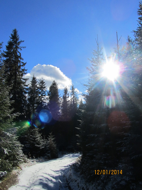 Рождественские каникулы. Карпаты. Часть 2