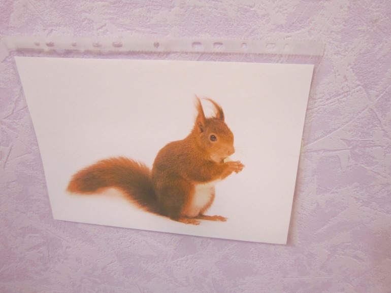 ТН Встречаем зиму. День 3. Зимний лес