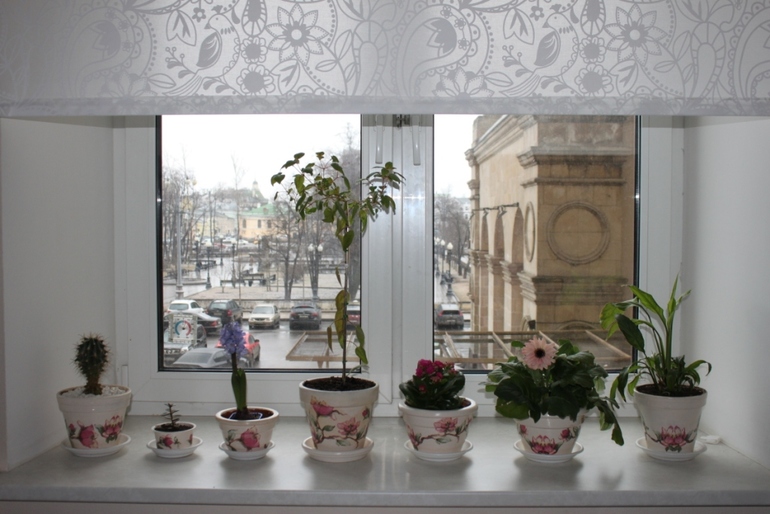 Цветущие горшки!