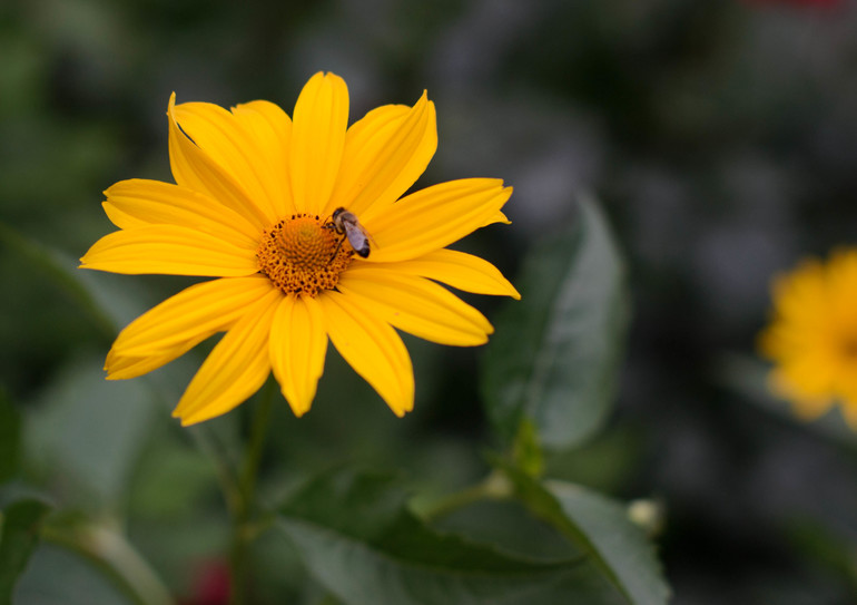 вот оно какое наше Лето:))