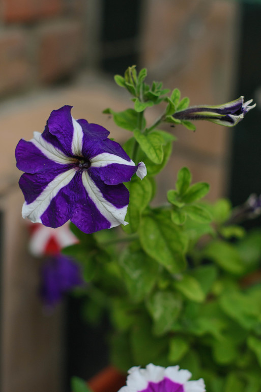 вот оно какое наше Лето:))