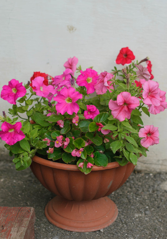 вот оно какое наше Лето:))