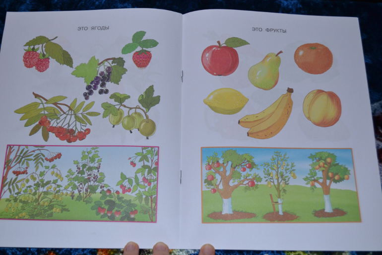 Развивающее пополнение))