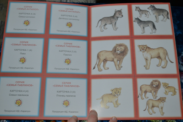 Развивающее пополнение))