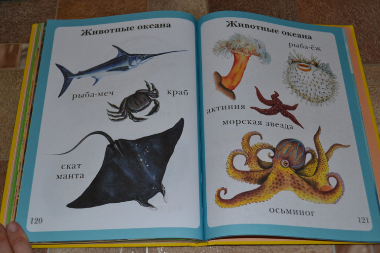 Развивающее пополнение))