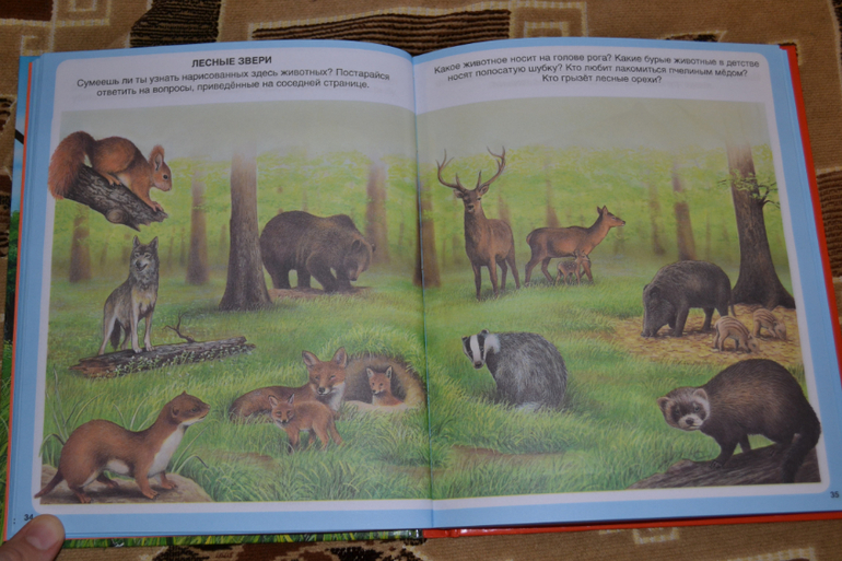 Наше книжное пополнение в 2 года