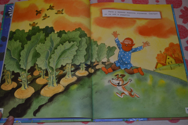 Дневник читателя июнь (сыну 2,0-2,1 г.)