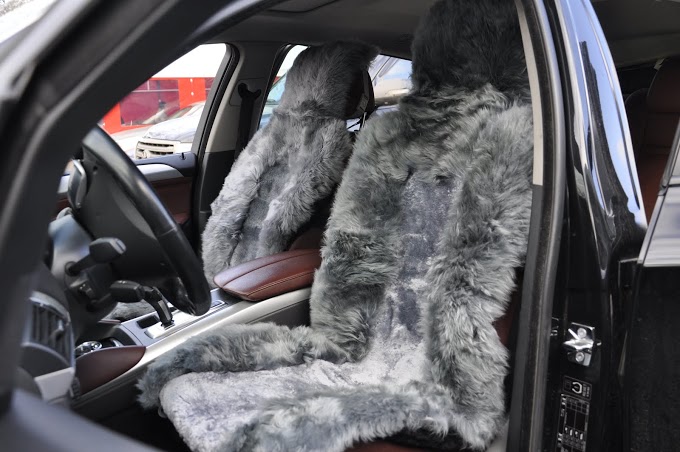 ~~~~АВТОЛЕДИ~~~~