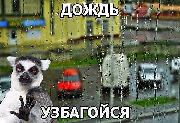 Что за погода...