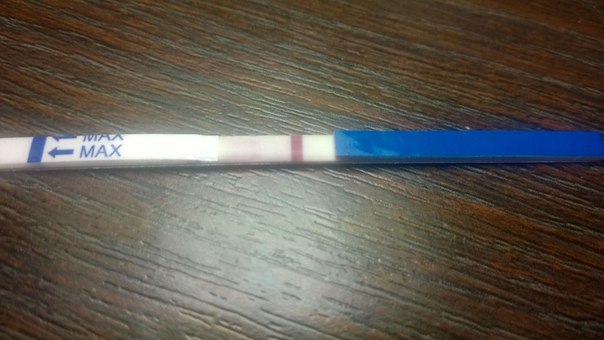 Призрак или нет?