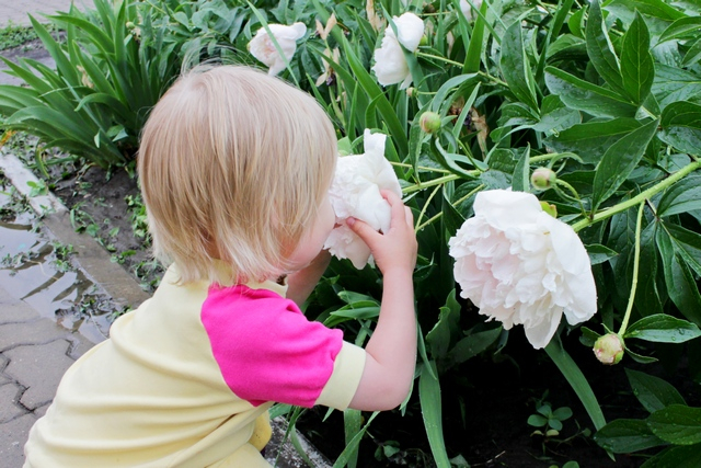 Дождик-дождик, поливай...