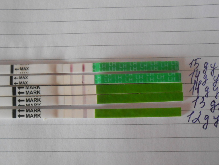 Тестик поярчал это О или еще рано????