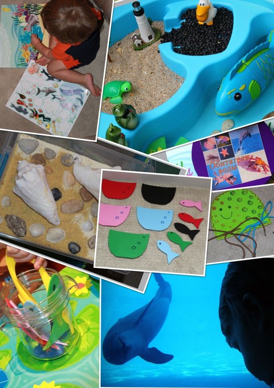 Наше знакомство с обитателями воды