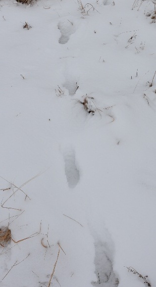 На лыжах - в мочаки)