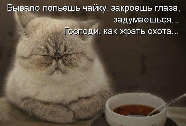 Похудеть бы)))