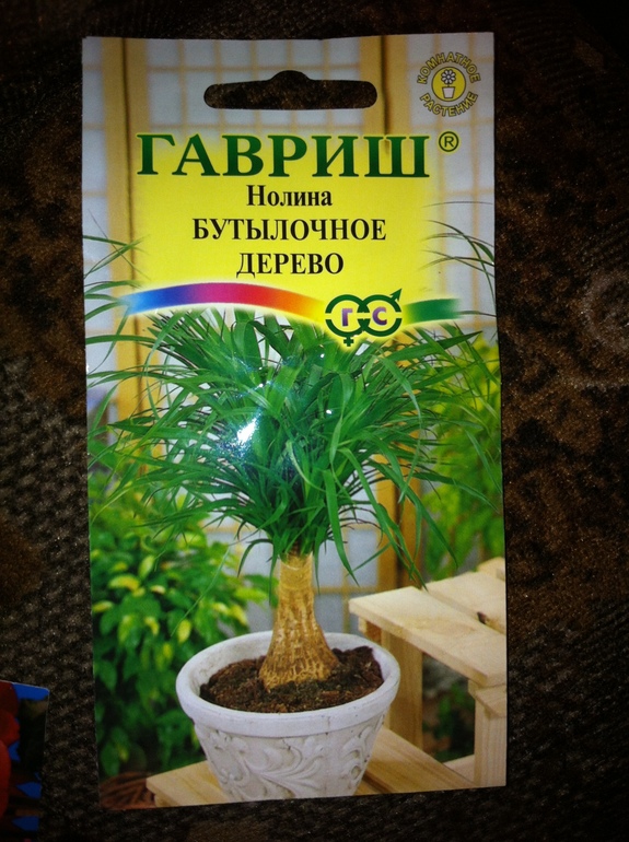 Накупила,буду сажать.