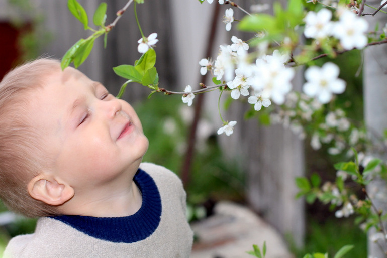 "Один раз в год сады цветут..."
