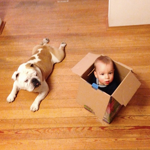 Про деток и наши инста-фото)