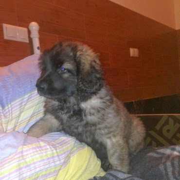 Трям, здравствуйте!!!;)