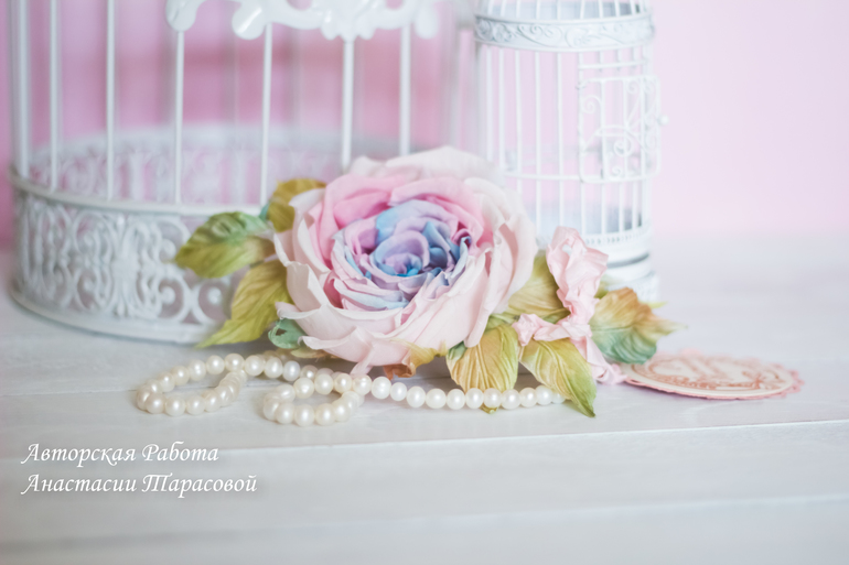 Роза "Аврора"