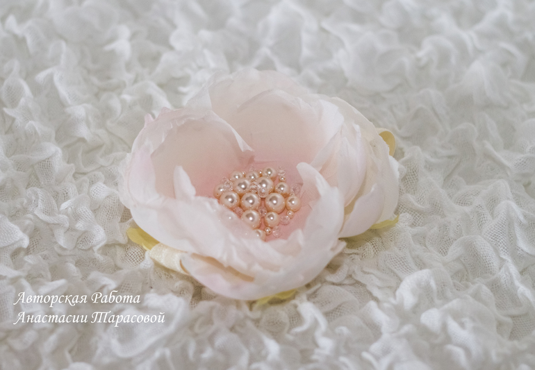 Новые цветочки