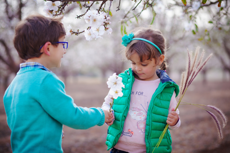 Цветет миндаль
