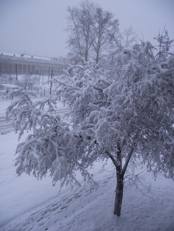 А у нас за окном вот такая красота сегодня....