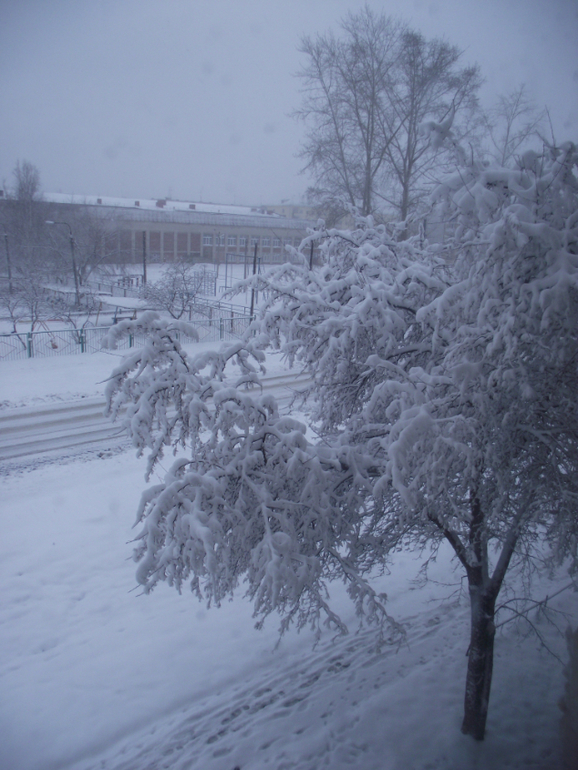 А у нас за окном вот такая красота сегодня....
