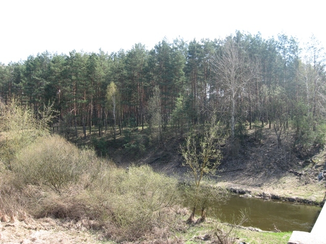 Житомирщина, Полесье