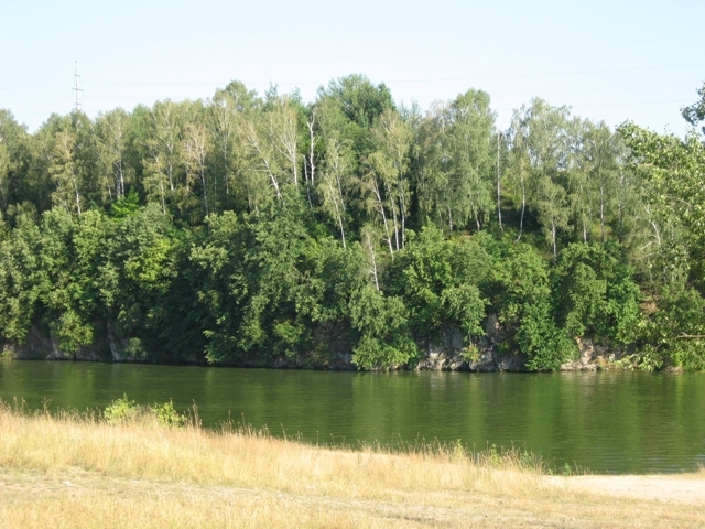 Житомирщина, Полесье