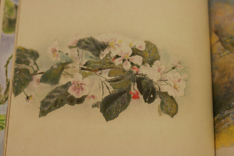 Книжная полка - май