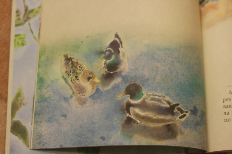 Книжная полка - май