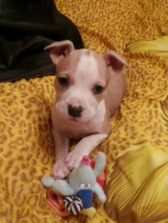 Наша Адочка