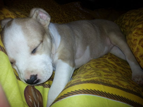 Наша Адочка