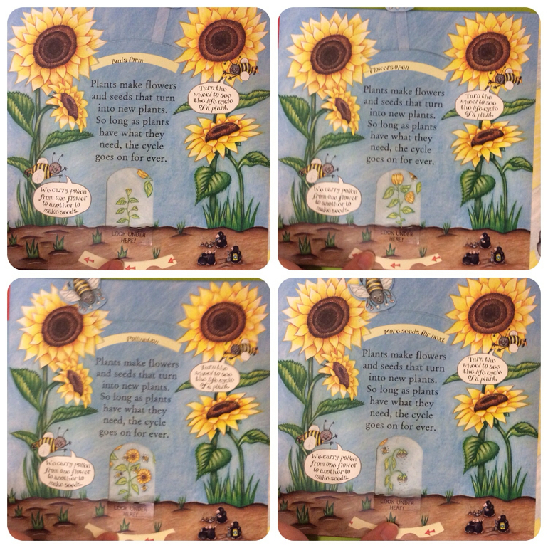 Часть 1. Наши новые книги с клапанами и окошками...