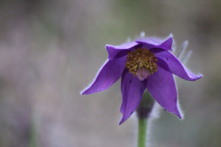 Мой любимый Селигер