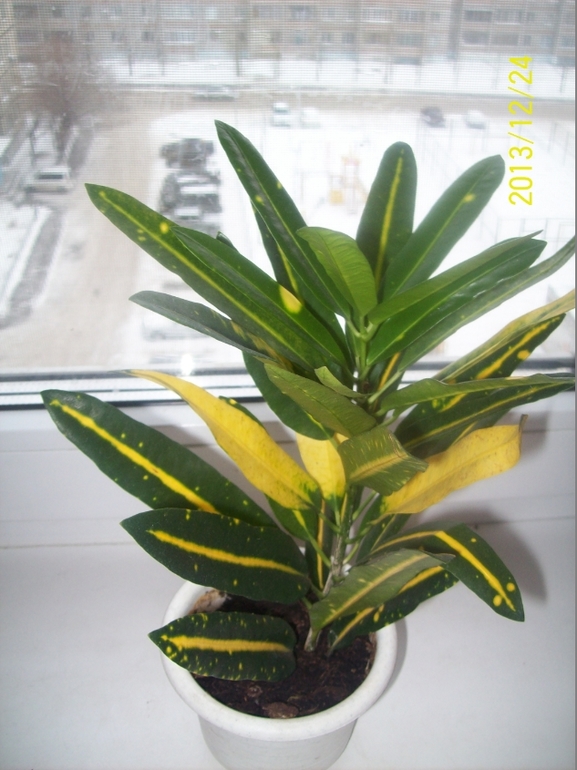 Покажу некоторых красавчиков.