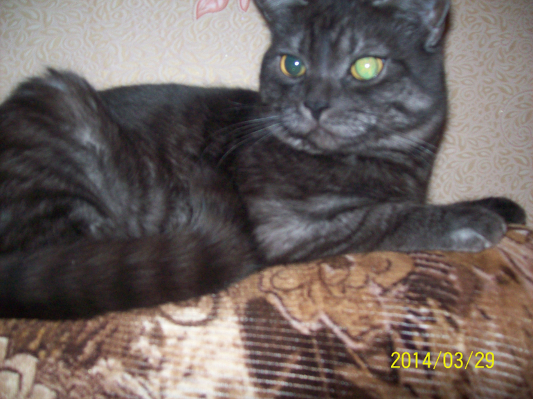 Надо показаться.